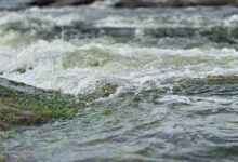 titan stream dynamics analysis