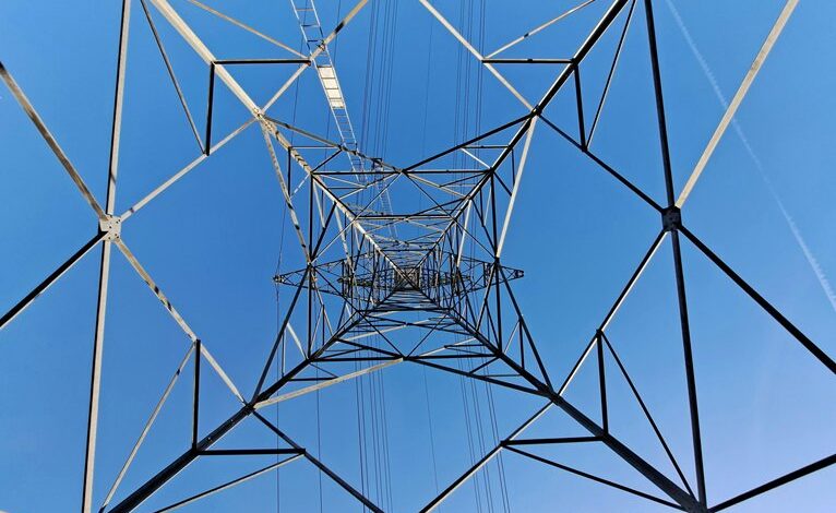 branding power shapiosexual blueprint