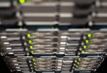 digital marketing log verification request