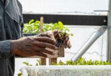 growth builder system identifier 2c3cdxbg5kh71003