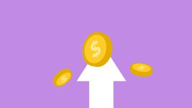 income booster strategy guide four word summary