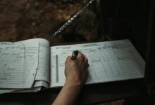 mixed data ips and phone numbers