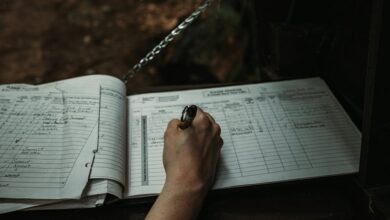 mixed data ips and phone numbers