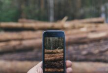 phone activity log identifiers and blogs