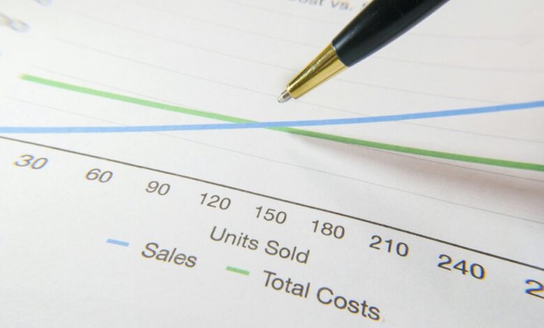 profit expansion strategy plan