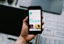 social authority blueprint for unatalvale4