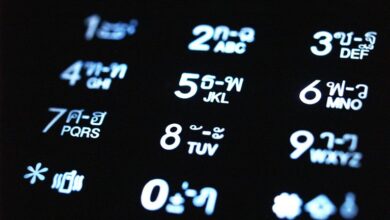 validate and review call input data