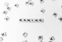weird usernames and numbers listed