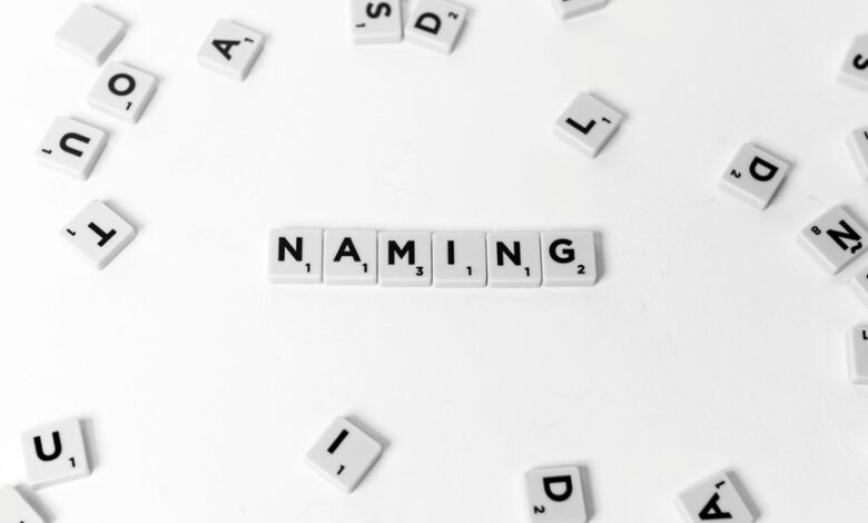 weird usernames and numbers listed