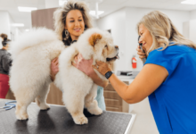 Reasons to Choose Petbook Veterinary Clinic for Your Furry Family Members