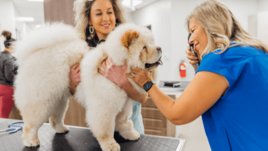 Reasons to Choose Petbook Veterinary Clinic for Your Furry Family Members