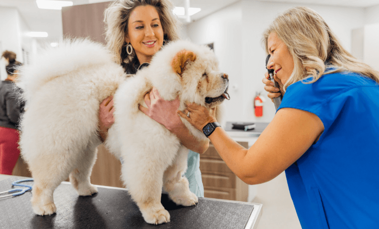 Reasons to Choose Petbook Veterinary Clinic for Your Furry Family Members