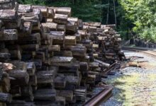 track infrastructure log identifiers and aliases