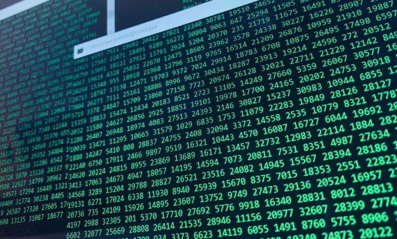 hidden numbers verification details