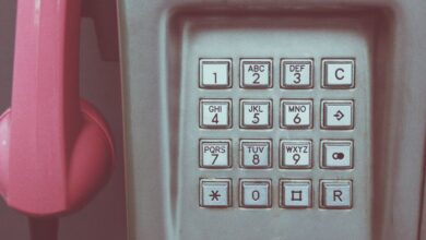 phone numbers from caller search list