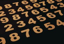 phone numbers listed for verification